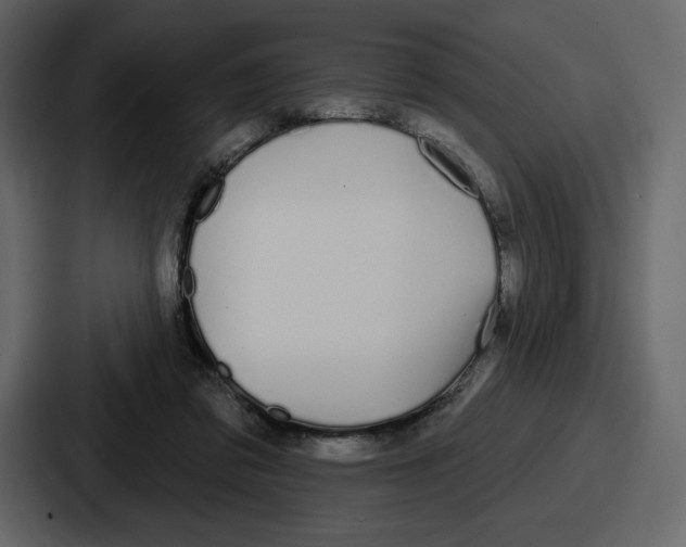 X0000086780309200705111800