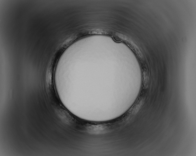 X0000086780310200705111800