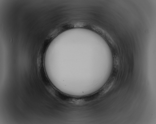 X0000086780311200705111800