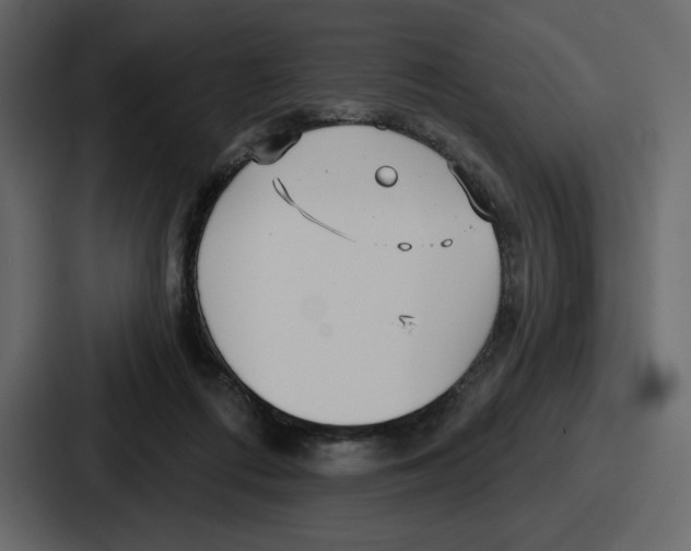 X0000086780312200705111800