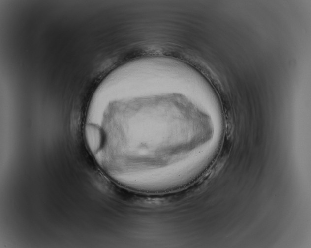 X0000086780314200705111800