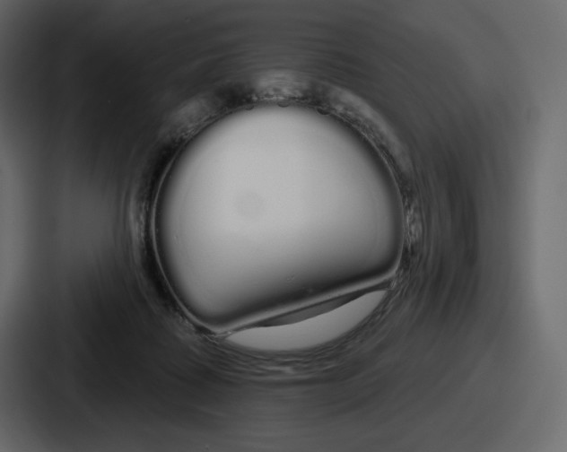 X0000086780315200705111800