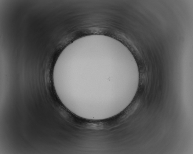 X0000086780317200705111800