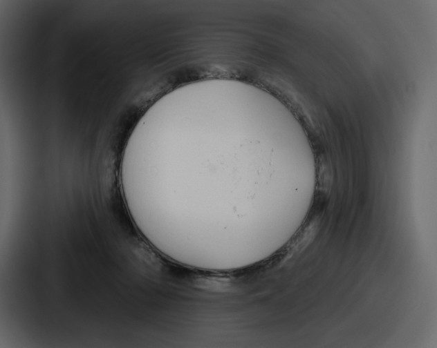 X0000086780318200705111800