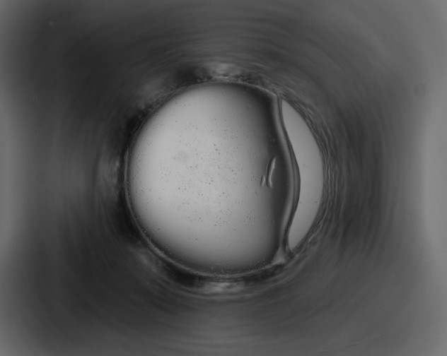 X0000086780319200705111800