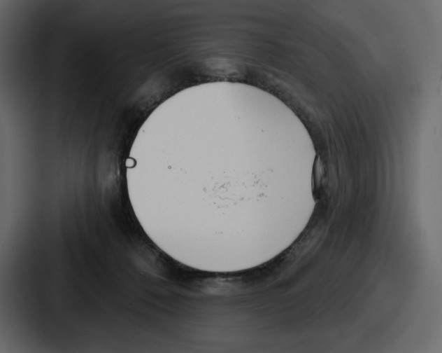 X0000086780320200705111800