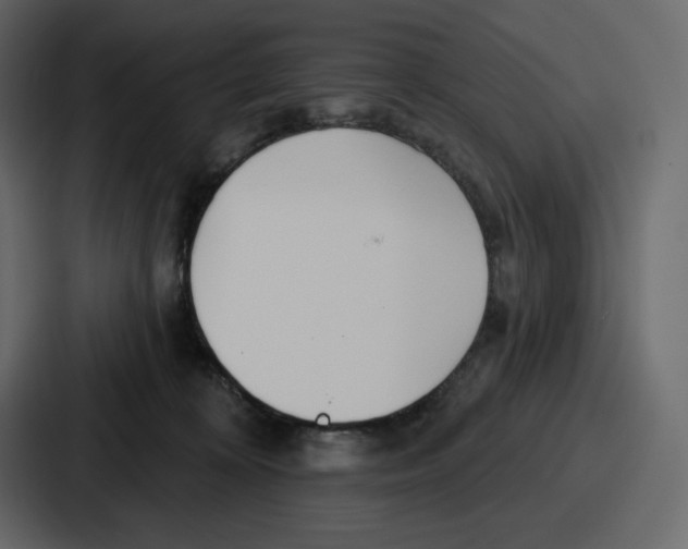 X0000086780324200705111800