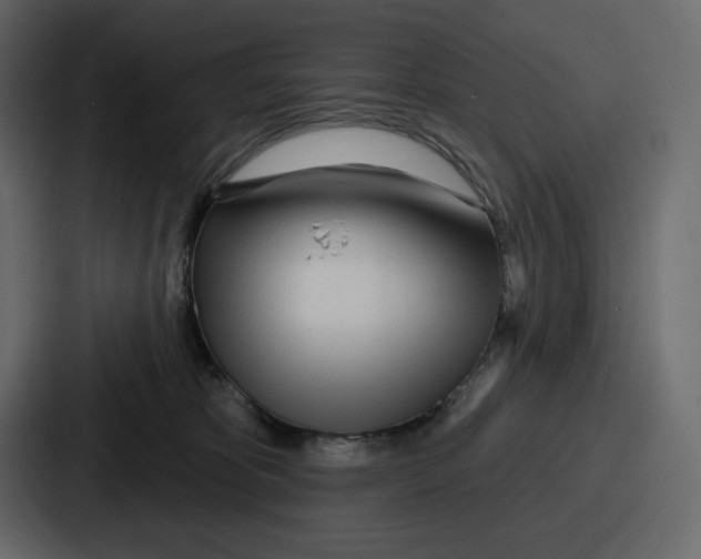 X0000086780325200705111800