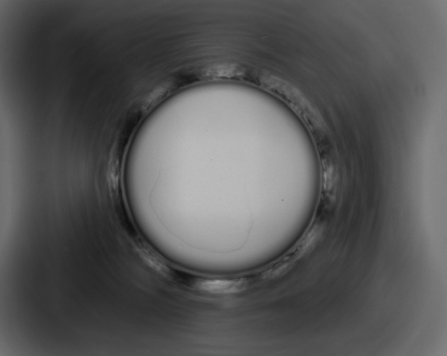 X0000086780326200705111800