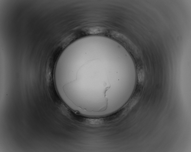 X0000086780327200705111800