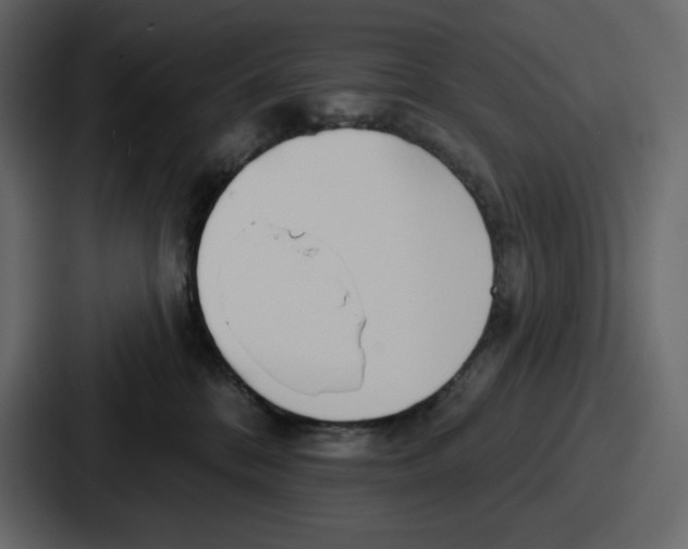 X0000086780328200705111800