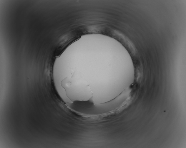 X0000086780329200705111800