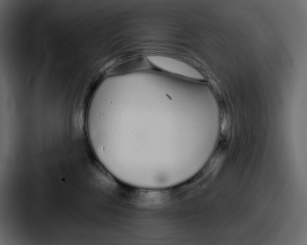 X0000086780330200705111800