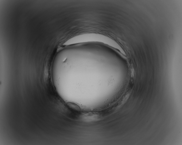 X0000086780331200705111800