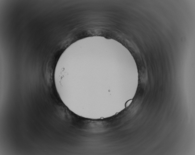 X0000086780332200705111800