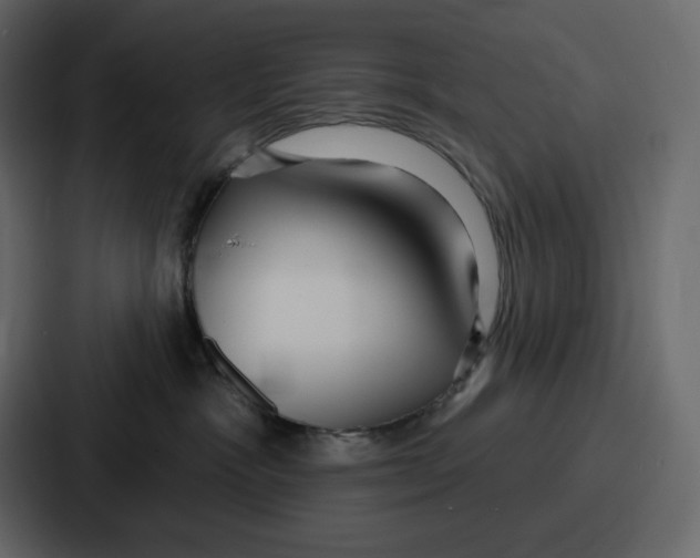 X0000086780333200705111800