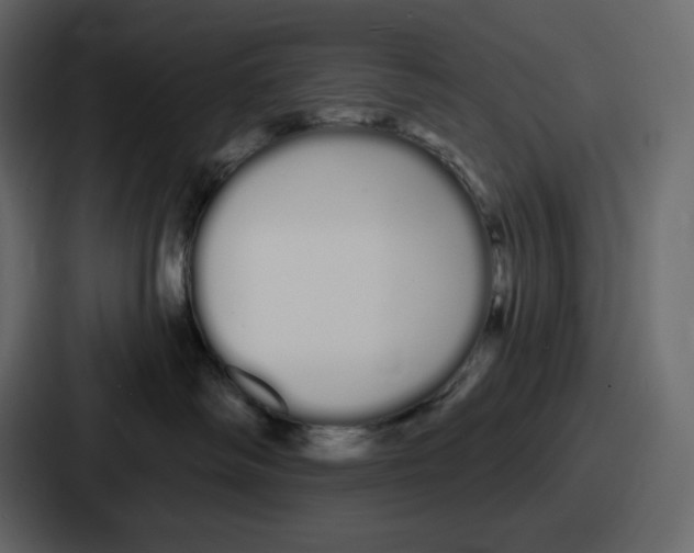 X0000086780334200705111800