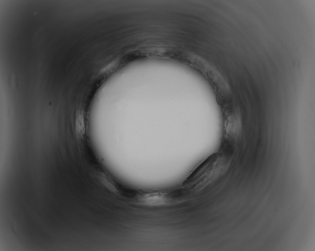 X0000086780335200705111800