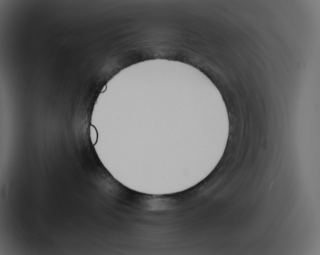 X0000086780336200705111800