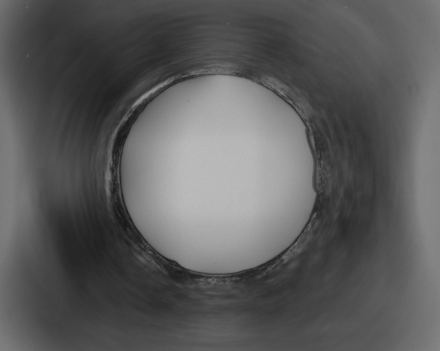 X0000086780338200705111759