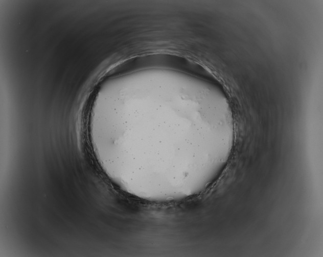 X0000086780339200705111759