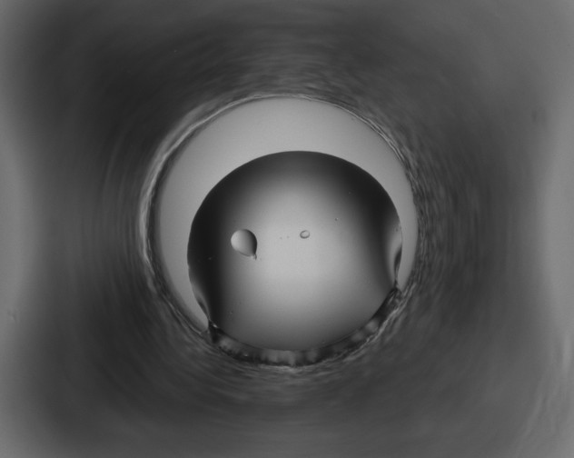 X0000086780340200705111759