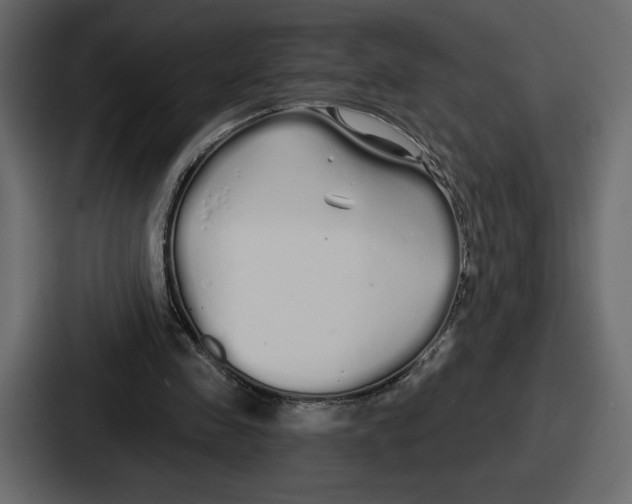 X0000086780341200705111759