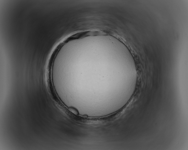 X0000086780342200705111759