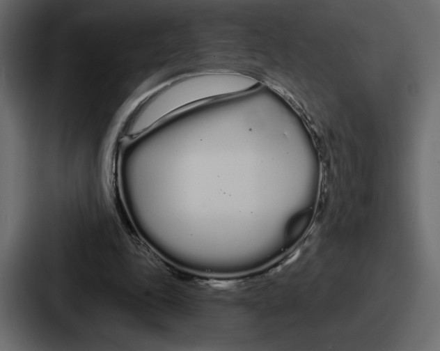 X0000086780343200705111759