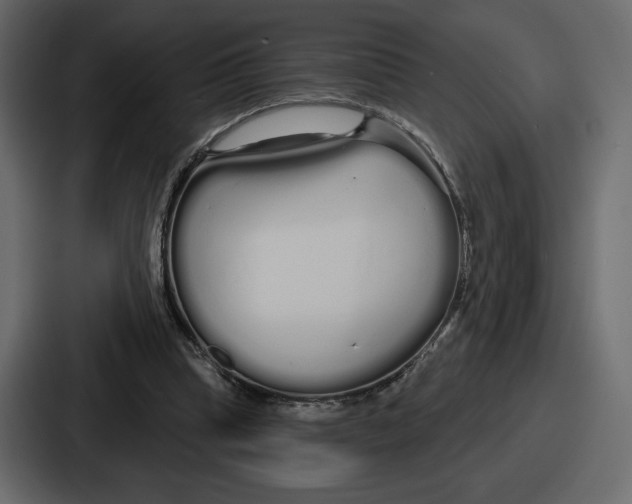 X0000086780345200705111759