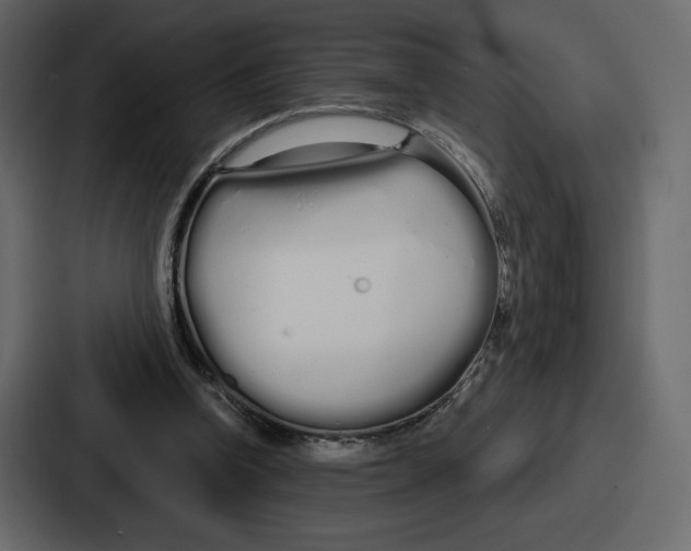 X0000086780346200705111759