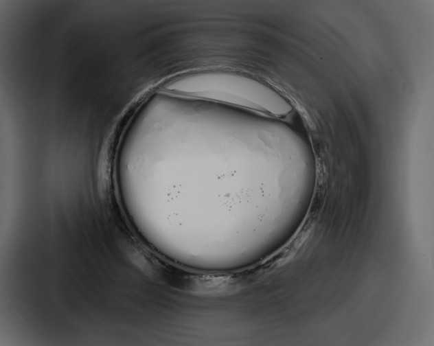 X0000086780347200705111759