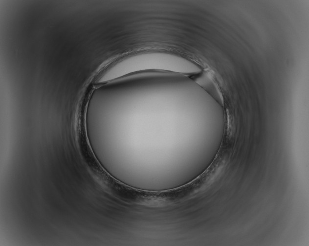 X0000086780348200705111759