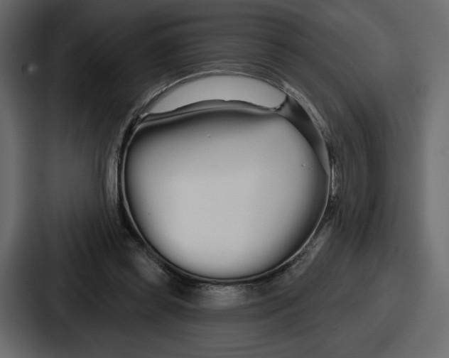 X0000086780349200705111759