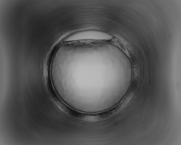 X0000086780350200705111759