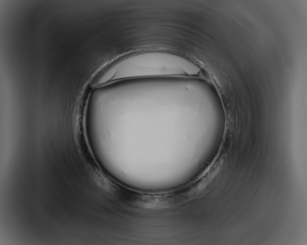 X0000086780351200705111759