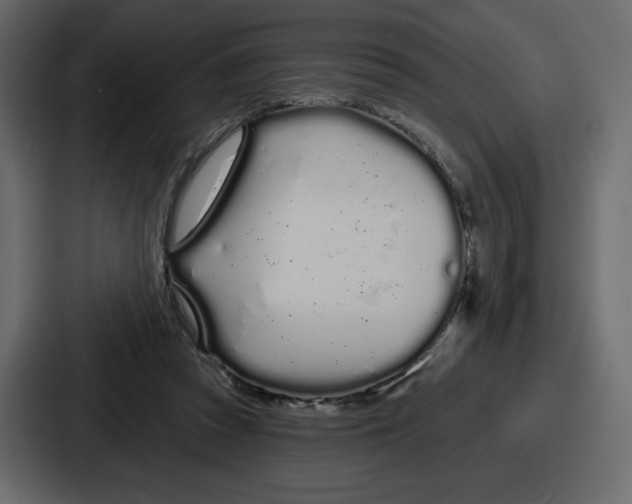 X0000086780353200705111759