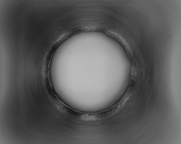 X0000086780354200705111759