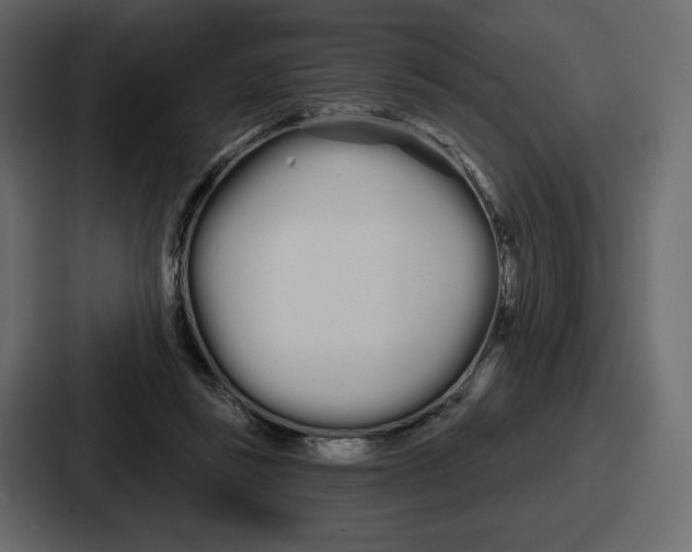 X0000086780355200705111759