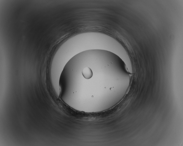 X0000086780356200705111759