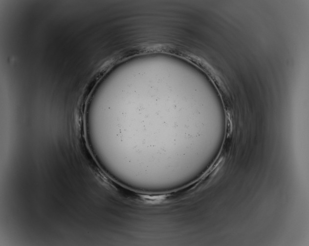 X0000086780357200705111759