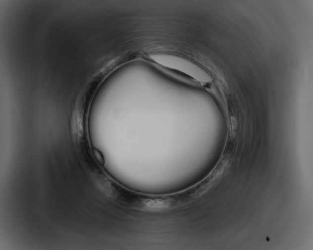 X0000086780358200705111759