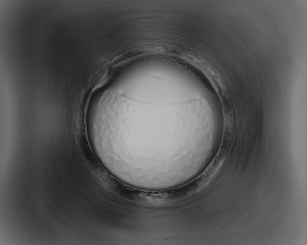 X0000086780359200705111759