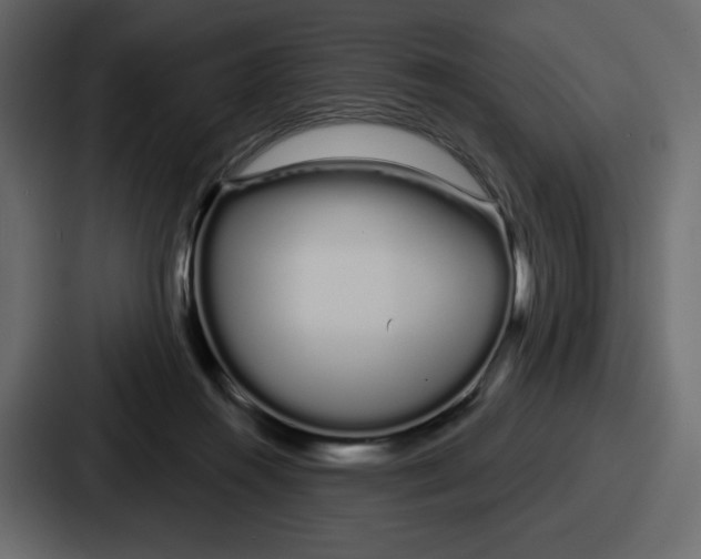 X0000086780360200705111759