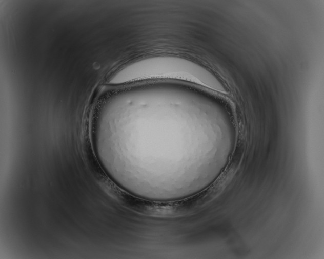 X0000086780361200705111759