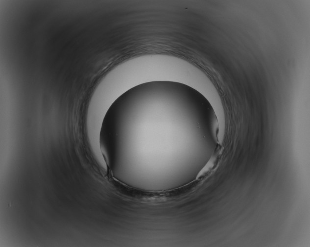 X0000086780362200705111759