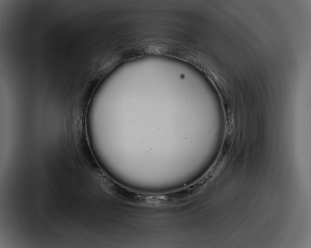 X0000086780363200705111759