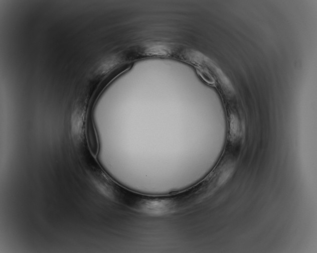 X0000086780364200705111759