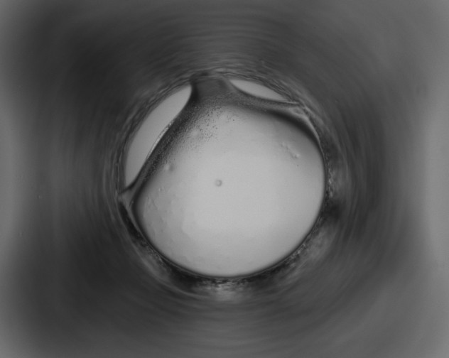 X0000086780365200705111759