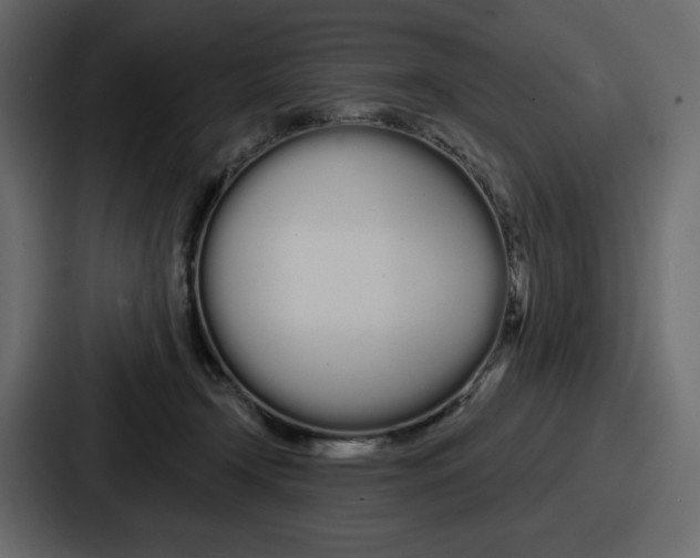 X0000086780366200705111759